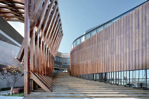 品读六大材料在塑造城市建筑肌理中的力量